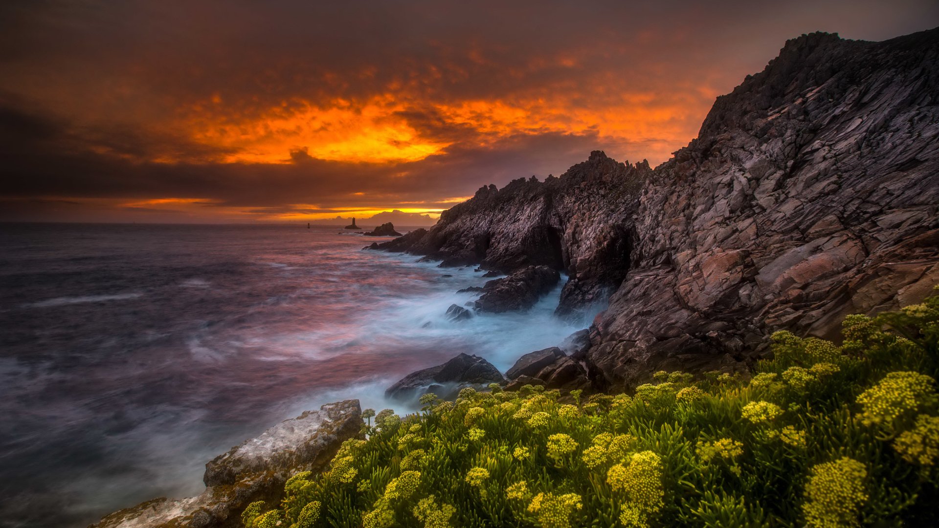 HD desktop wallpaper of a vibrant sunset over a rocky coastline with yellow flowers in the foreground and the ocean stretching to the horizon under a dramatic sky.