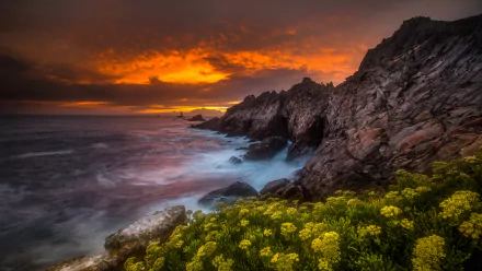 HD desktop wallpaper of a vibrant sunset over a rocky coastline with yellow flowers in the foreground and the ocean stretching to the horizon under a dramatic sky.