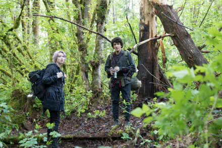 movie blair witch HD Desktop Wallpaper | Background Image