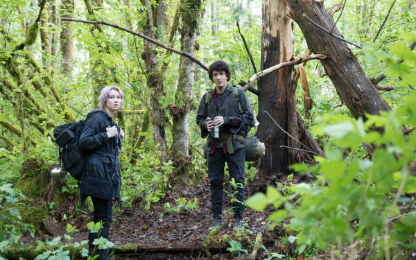 movie blair witch HD Desktop Wallpaper | Background Image