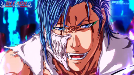 Grimmjow Jaegerjaquez Anime Bleach HD Desktop Wallpaper | Background Image