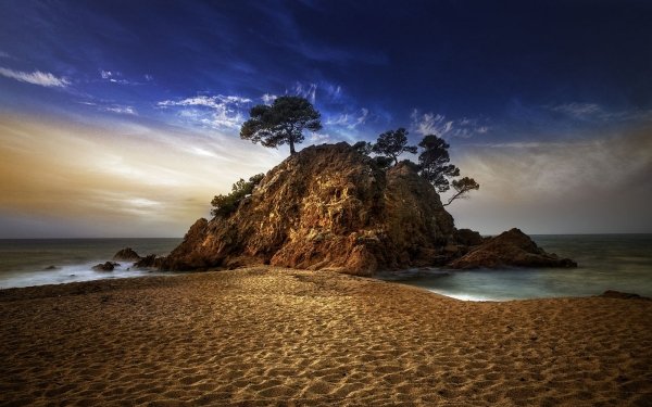 Earth Rock Ocean Sea Tree Beach HD Wallpaper | Background Image