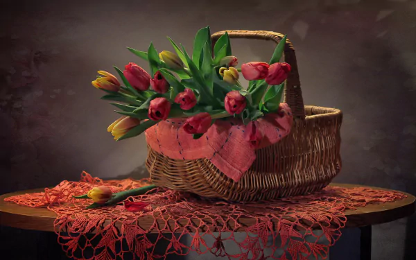 Still-life photography of yellow and pink tulips in a woven picnic basket on a lace cloth — 2K Quad HD PC desktop wallpaper/background.