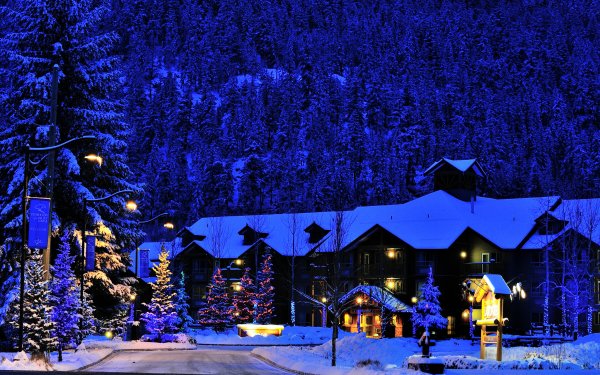 Man Made Hotel Canada Christmas Tree Light Night HD Wallpaper | Background Image