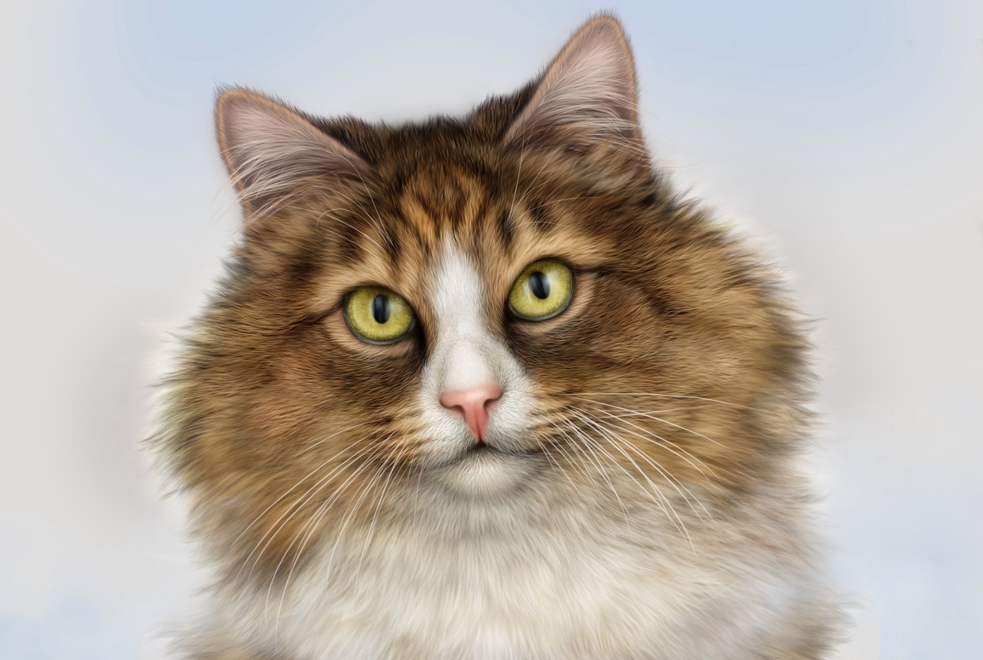 HD digital painting of a cat's face with detailed fur and bright yellow eyes against a soft, light background, designed as a PC desktop wallpaper and background.