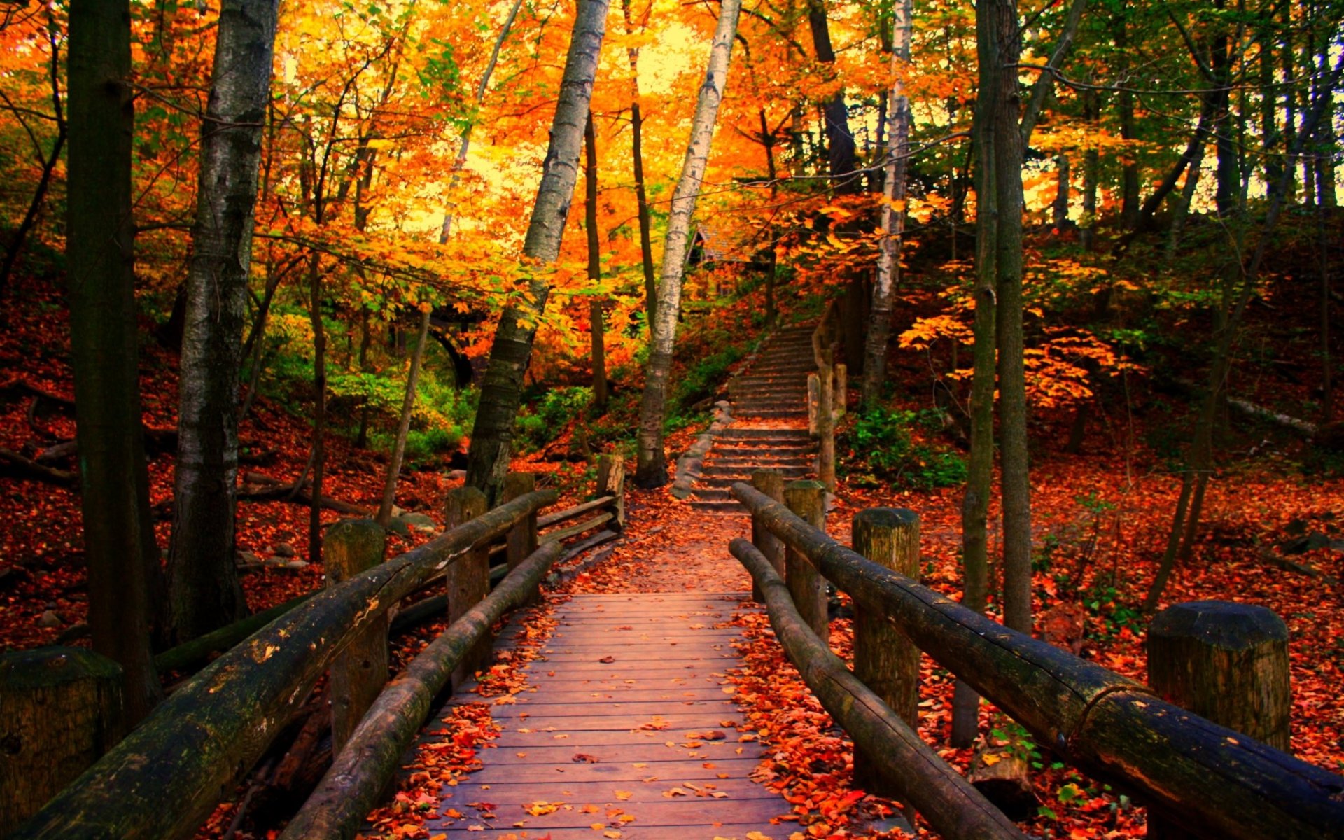 Bridge In Autumn Park Fondo De Pantalla Hd Fondo De Escritorio