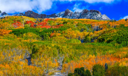 Vibrant fall landscape in Colorado featuring colorful trees and a mountain backdrop under a bright blue sky, captured as an HD PC desktop wallpaper.