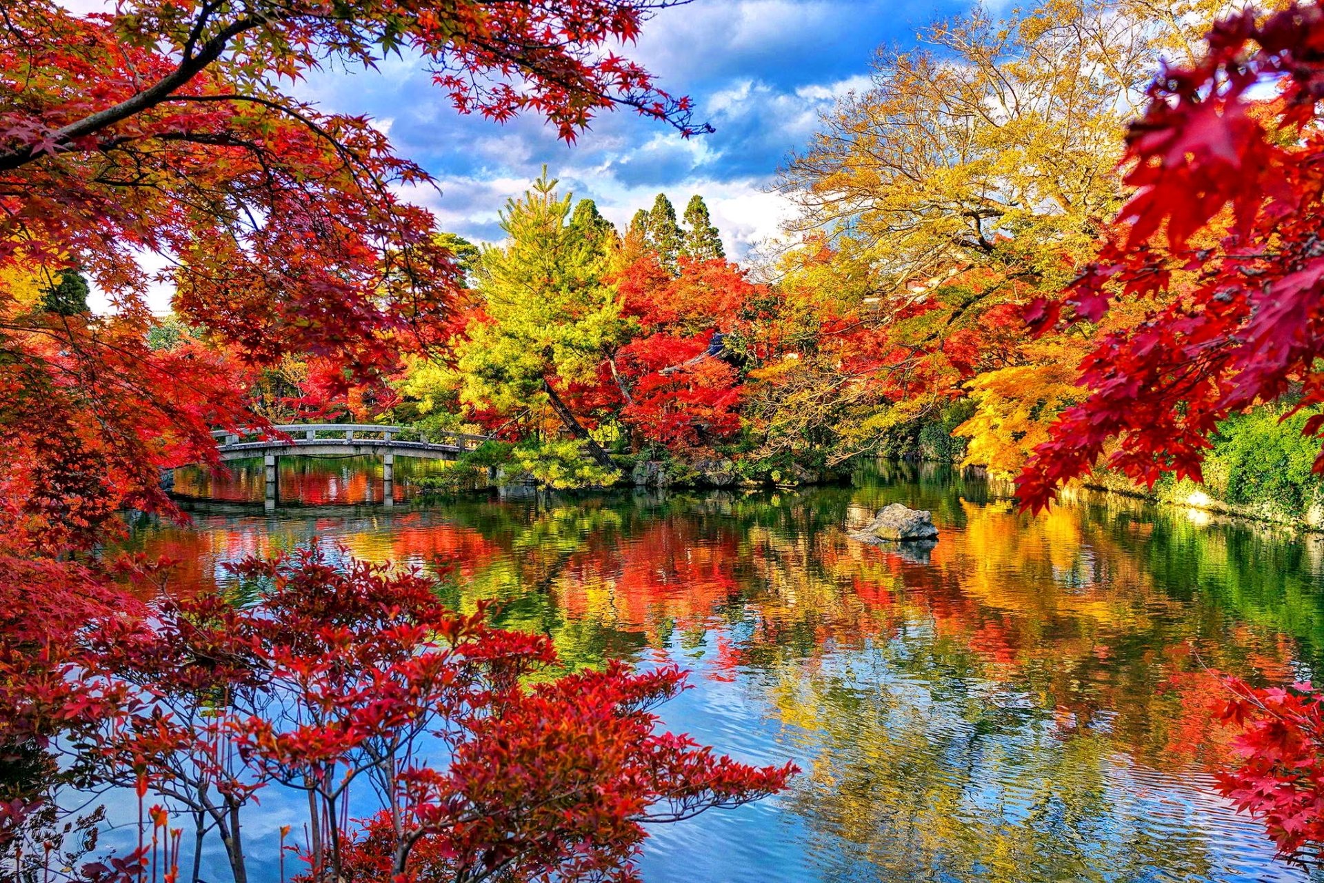 A vibrant Japanese garden in fall, showcasing colorful trees and a serene lake. A charming bridge reflects in the water, surrounded by the rich hues of autumn foliage.