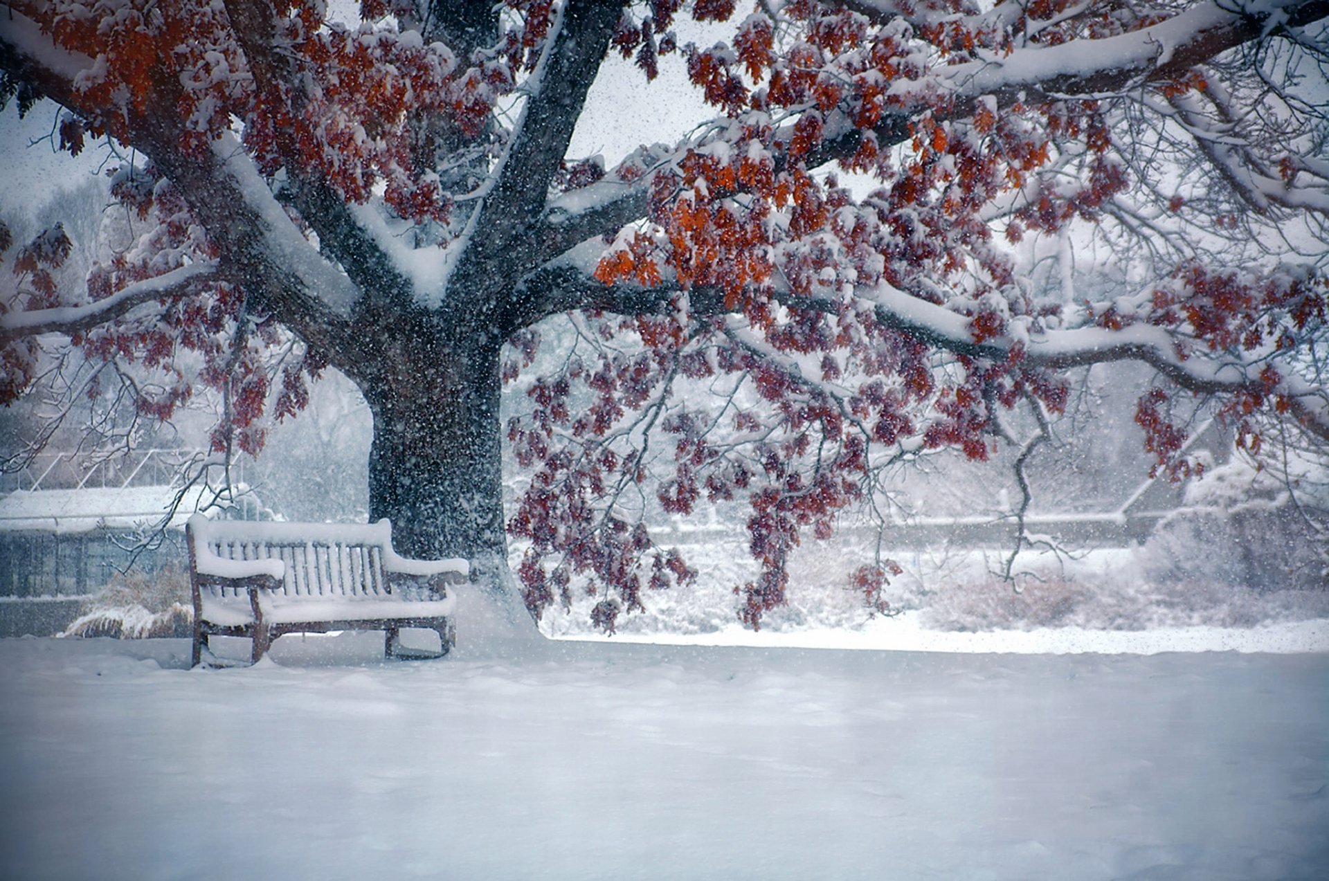 park bench in winter full hd wallpaper and background park bench in winter full hd wallpaper and background