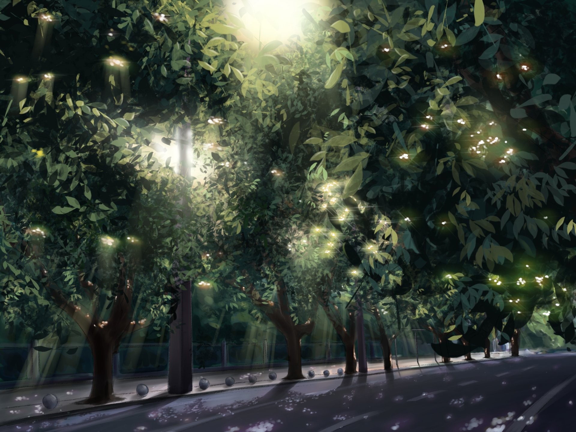 HD anime-style desktop wallpaper depicting a serene tree-lined pathway illuminated by soft, glowing lights filtering through dense foliage.