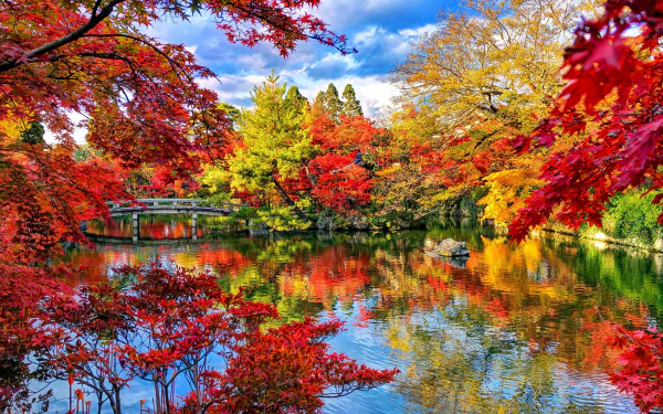 A vibrant Japanese garden in fall, showcasing colorful trees and a serene lake. A charming bridge reflects in the water, surrounded by the rich hues of autumn foliage.