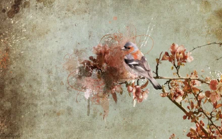 HD desktop wallpaper showing a finch perched on a flowering branch against a textured, artistic background.