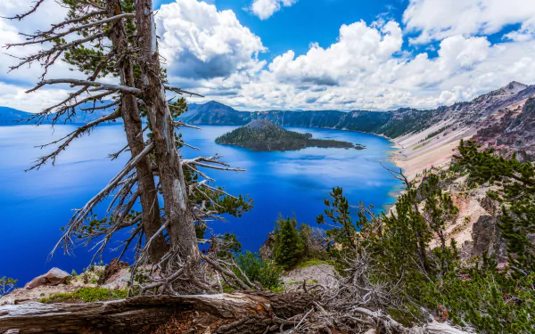 A stunning view of Crater Lake National Park features a vibrant blue lake, lush islands, and mountainous terrain under a bright, cloudy sky, surrounded by lush forest.