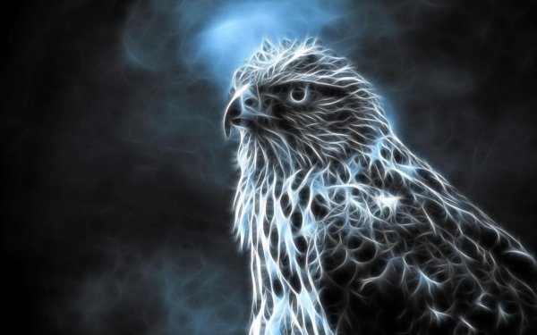 Animal Falcon Birds Birds of prey CGI HD Wallpaper | Background Image