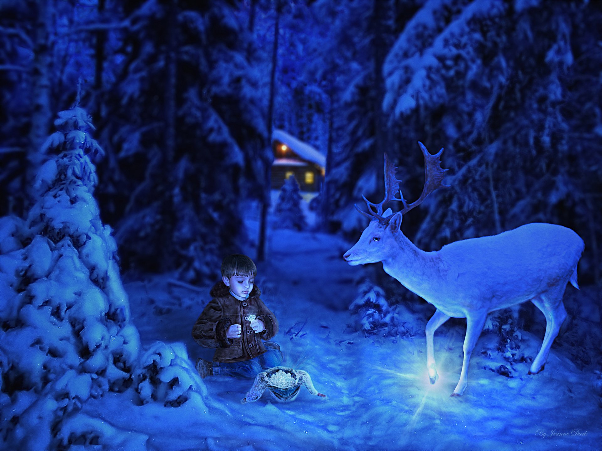 2K Quad HD PC desktop wallpaper background: a magical Christmas night in a snowy forest where a little boy holds a glowing lantern and a gentle reindeer stands near a lit cabin.