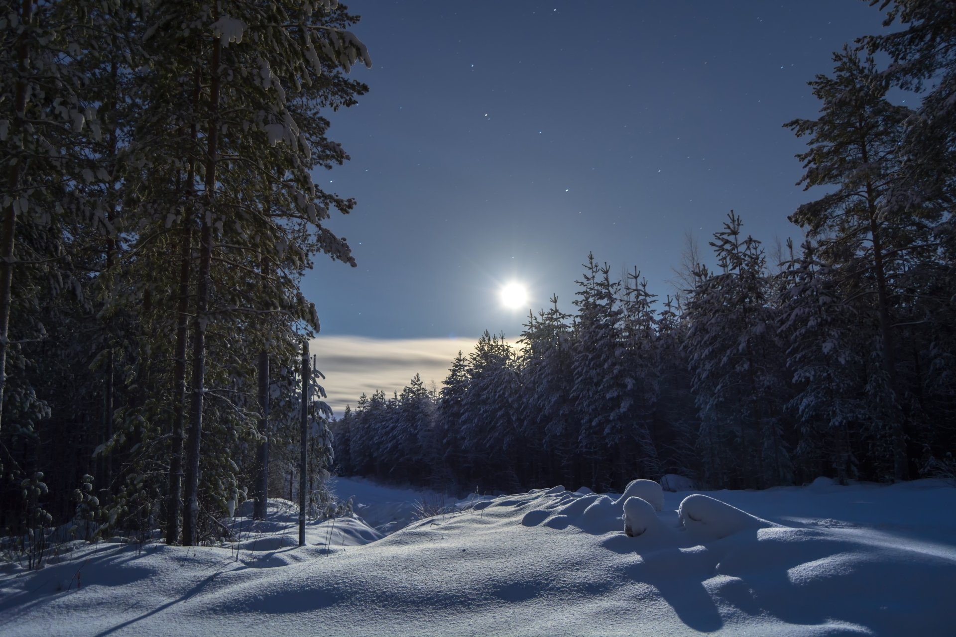 Download Sun Tree Forest Snow Nature Winter 4k Ultra HD Wallpaper