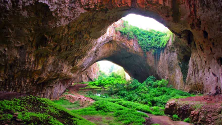 A vibrant green canyon scene featuring a large cave opening, surrounded by lush grass and nature. This HD wallpaper captures the beauty of rugged landscapes.