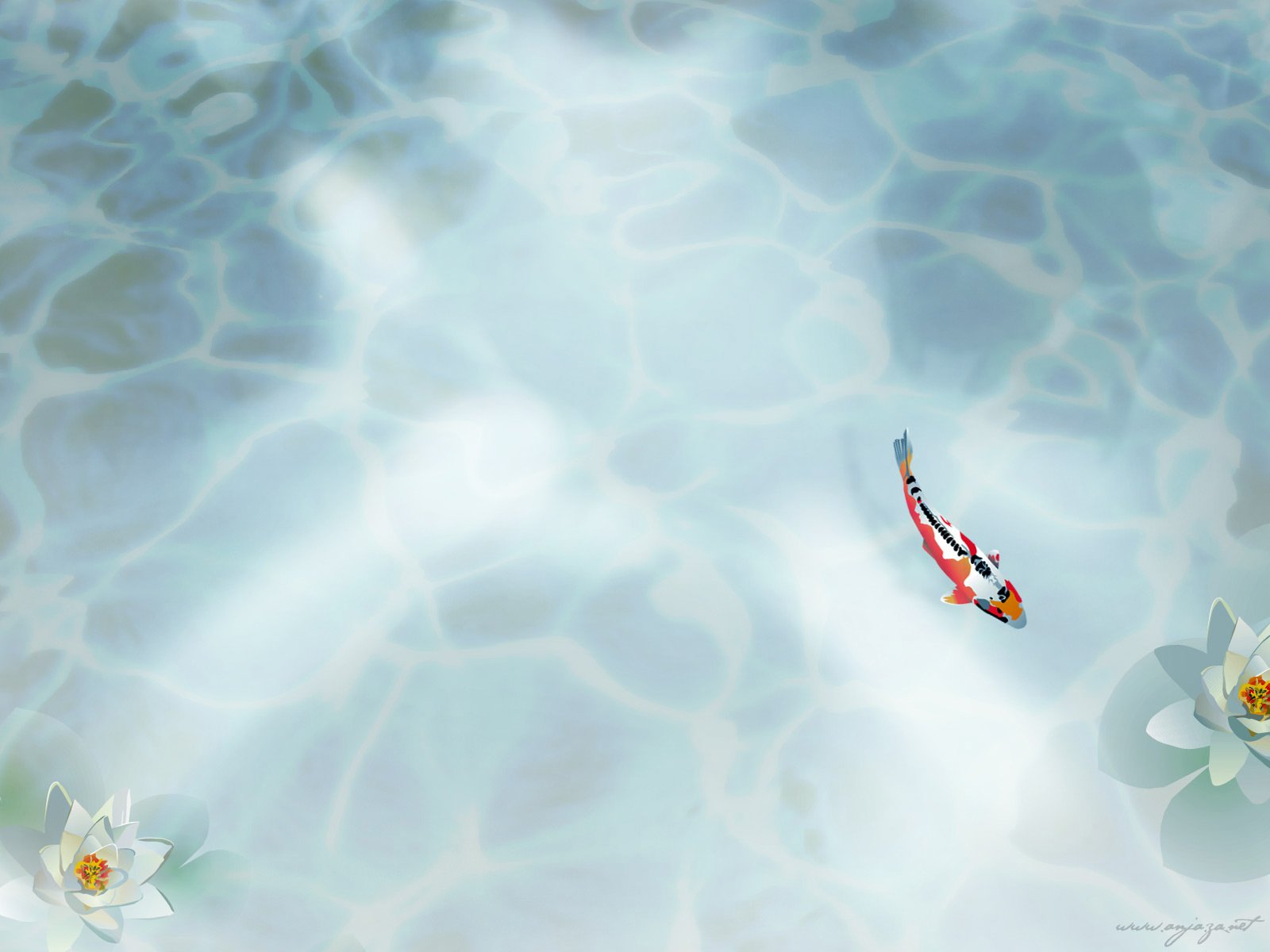 Artistic HD desktop wallpaper featuring a single colorful fish swimming in clear, softly lit water with subtle reflections and white water lilies.