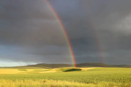 Idaho nature landscape: wide golden field beneath storm clouds with a vivid double rainbow — 5K Ultra HD PC desktop wallpaper and background.