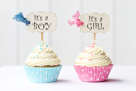  It's a Boy and It's a Girl Cupcakes