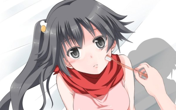 Anime Monogatari (Series) Tsukihi Araragi HD Wallpaper | Background Image