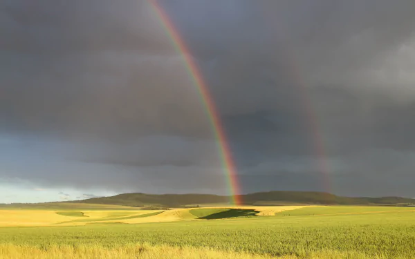 Idaho nature landscape: wide golden field beneath storm clouds with a vivid double rainbow — 5K Ultra HD PC desktop wallpaper and background.