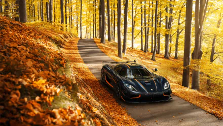 A stunning Koenigsegg Agera parked on a scenic road surrounded by vibrant fall foliage, showcasing the beauty of autumn alongside this high-performance supercar.