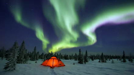 A glowing orange tent stands in a snowy landscape under a vibrant aurora borealis, set against a starry sky, capturing the essence of winter camping in stunning HD.