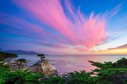 4K Ultra HD wallpaper of California’s Pebble Beach coastline at sunset, showcasing vibrant pink and blue sky over the serene ocean horizon framed by lush coastal greenery.
