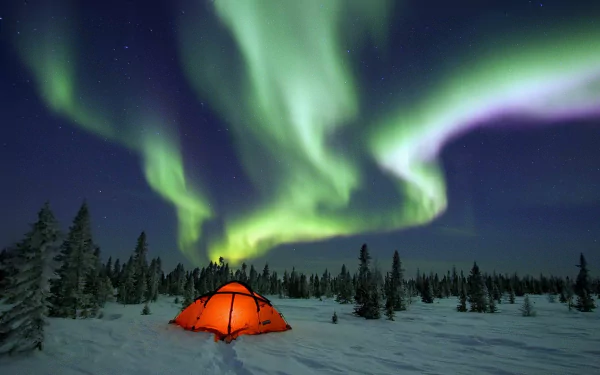 A glowing orange tent stands in a snowy landscape under a vibrant aurora borealis, set against a starry sky, capturing the essence of winter camping in stunning HD.
