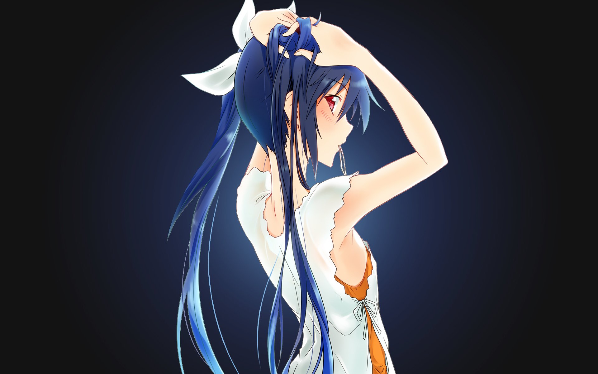 Download Anime Gonna Be The TwinTail!! HD Wallpaper by AssassinWarrior