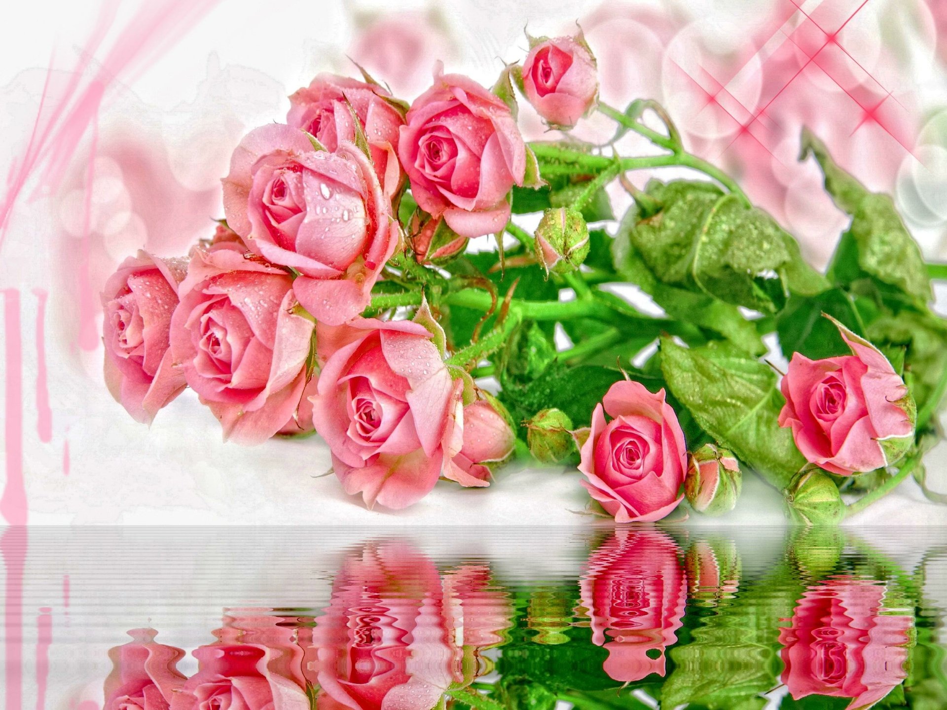 Download Pink Flower Water Reflection Artistic Rose HD Wallpaper