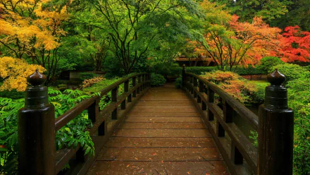 A serene Japanese garden in fall, featuring a rustic wooden bridge surrounded by vibrant autumn foliage in rich shades of green, orange, and red. High-definition desktop wallpaper.