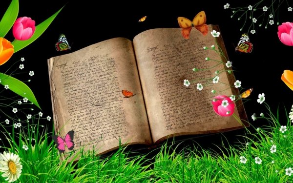 Artistic Book Fantasy Magical Flower Butterfly Colorful Colors Grass HD Wallpaper | Background Image