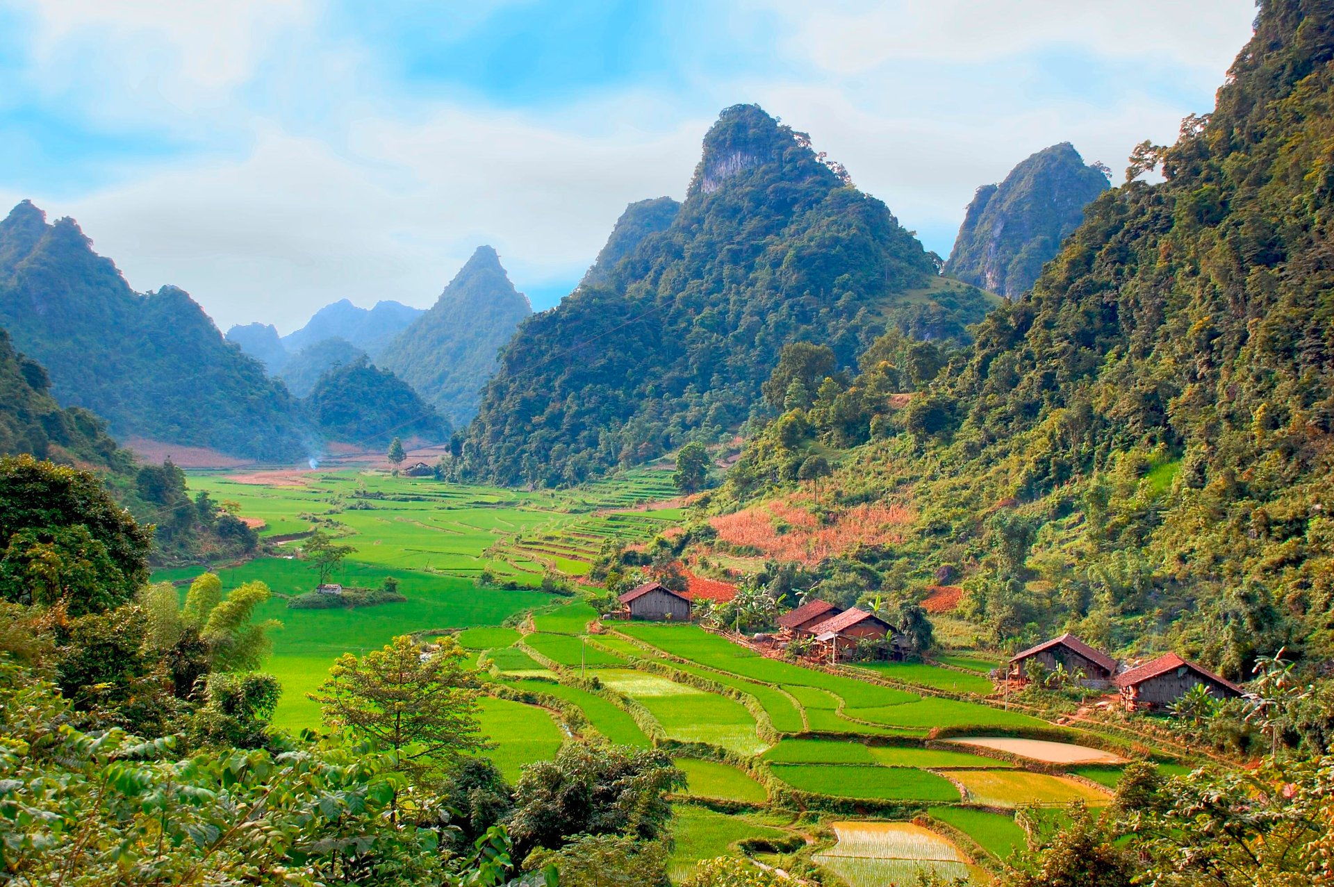 Village And Rice Fields In Vietnam