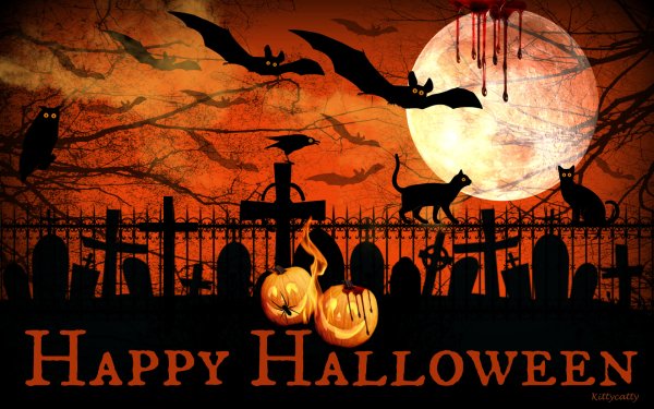 Holiday Halloween Jack-O'-Lantern Bat Moon Happy Halloween HD Wallpaper | Background Image