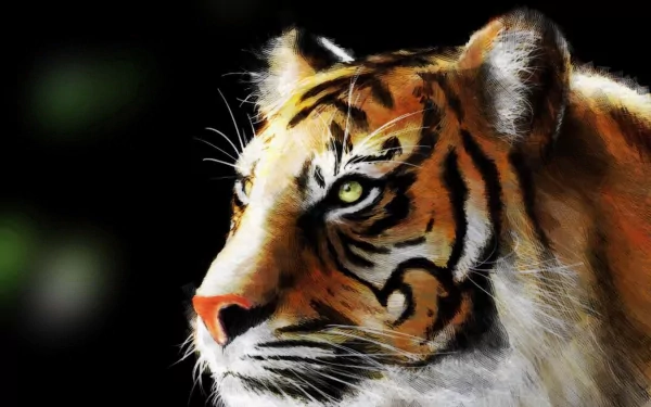 Animal tiger HD Desktop Wallpaper | Background Image