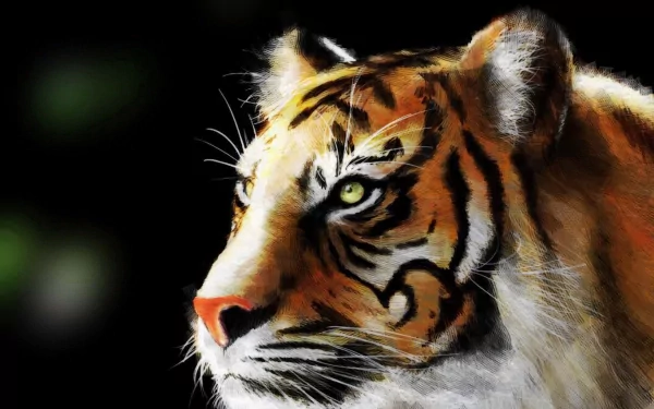 HD desktop wallpaper featuring a majestic tiger with a focused gaze, set against a dark background. The tiger's detailed fur and striking eyes stand out beautifully in the image.
