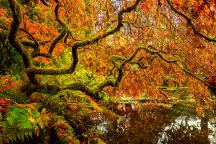  Kubota Gardens in Seattle in Autumn