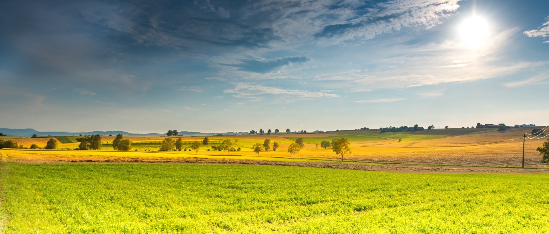 Download Sun Sky Horizon Grass Field Nature Landscape 4k Ultra HD Wallpaper