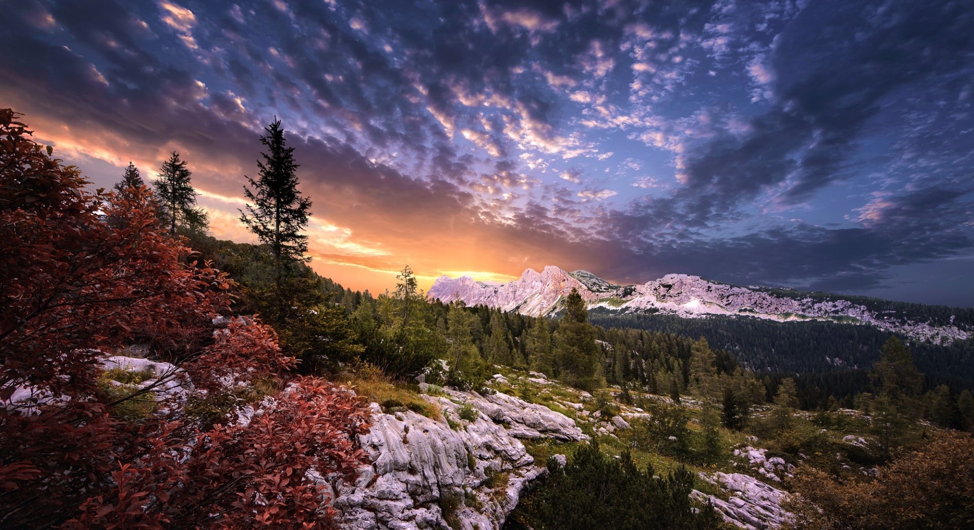 Majestic Mountain Vista: HD Nature Landscape with Sky and Forest Clouds ...