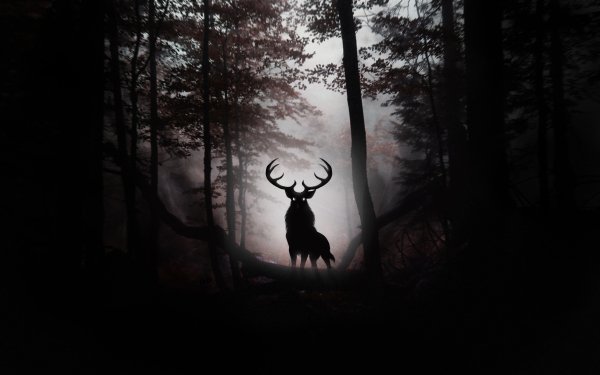 Fantasy Deer Fantasy Animals Silhouette Forest HD Wallpaper | Background Image