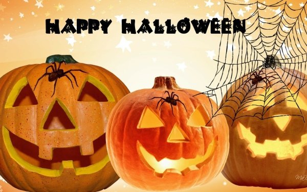 Holiday Halloween Jack-O'-Lantern Happy Halloween Spider Spider Web HD Wallpaper | Background Image