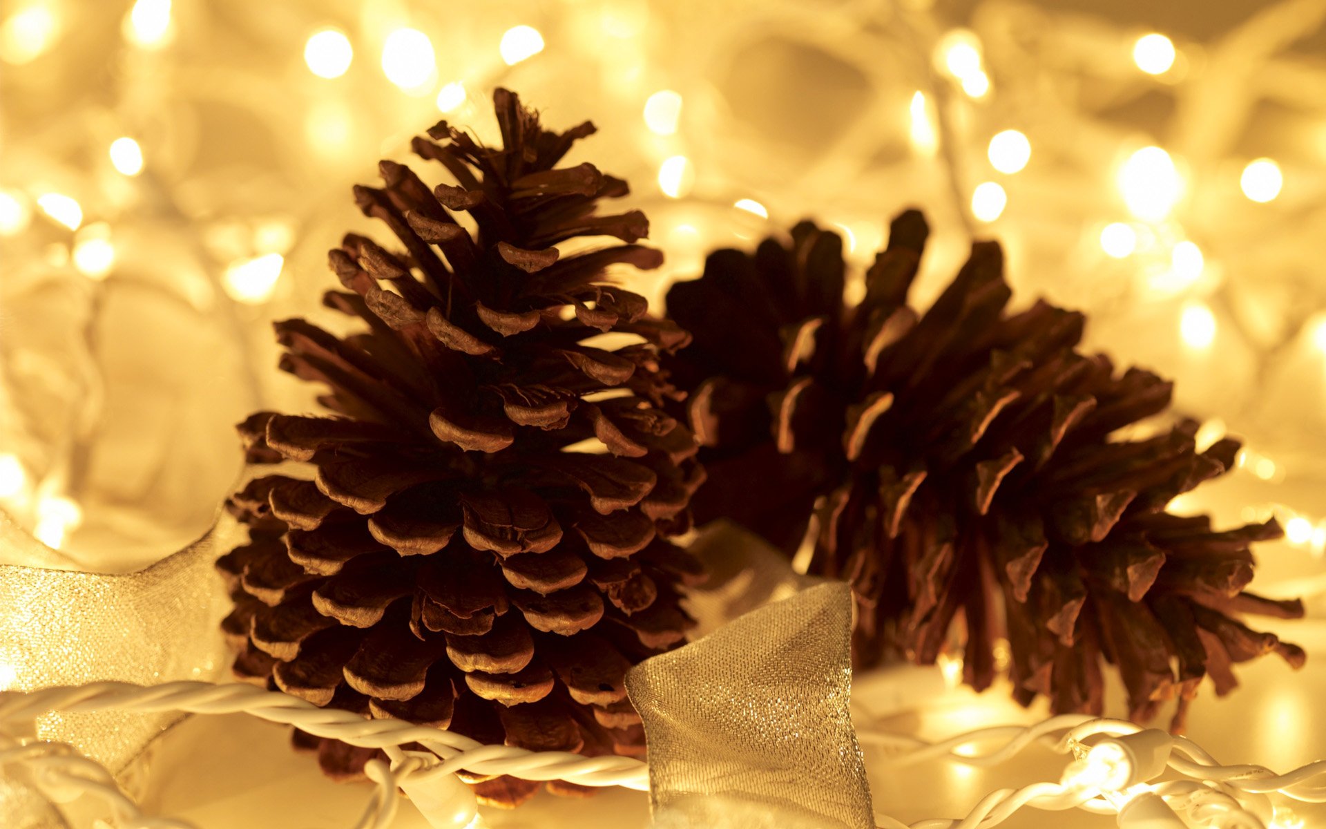 HD desktop wallpaper featuring pine cones surrounded by warm, glowing Christmas lights, capturing a cozy holiday atmosphere.
