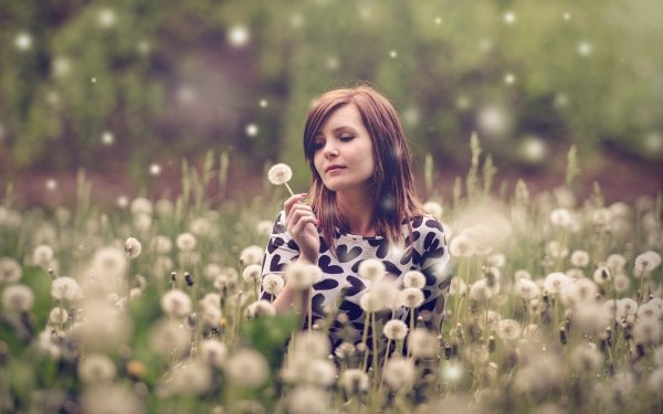 Women Mood Model Dandelion Field Brunette HD Wallpaper | Background Image