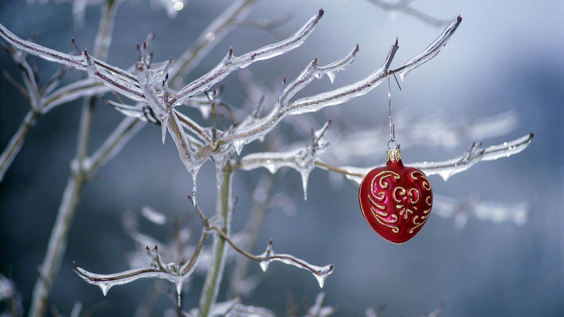 A red heart-shaped Christmas ornament hangs from frosted branches, surrounded by glistening ice, capturing the essence of winter and holiday spirit in a serene, snowy landscape.