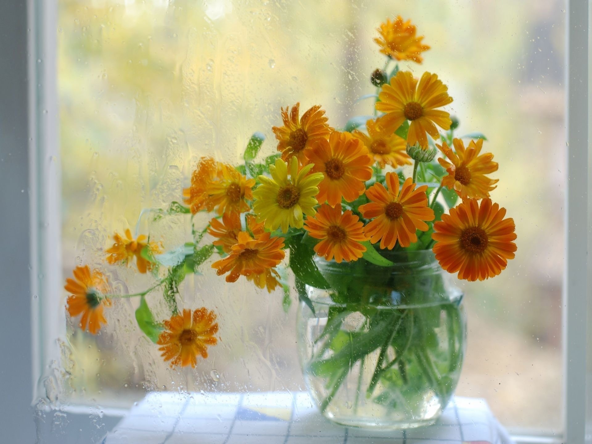 Download Yellow Flower Window Vase Man Made Flower HD Wallpaper