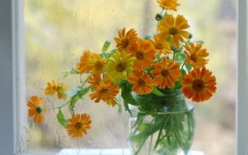 5 Hieroglyphics HD Wallpapers | Backgrounds - Wallpaper Abyss