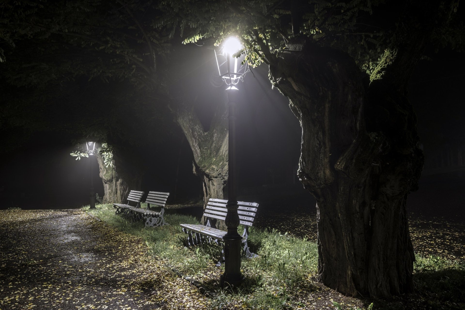 A serene park scene at night featuring benches illuminated by a lamp post, surrounded by trees and fallen leaves, creating a tranquil atmosphere for an HD desktop wallpaper.
