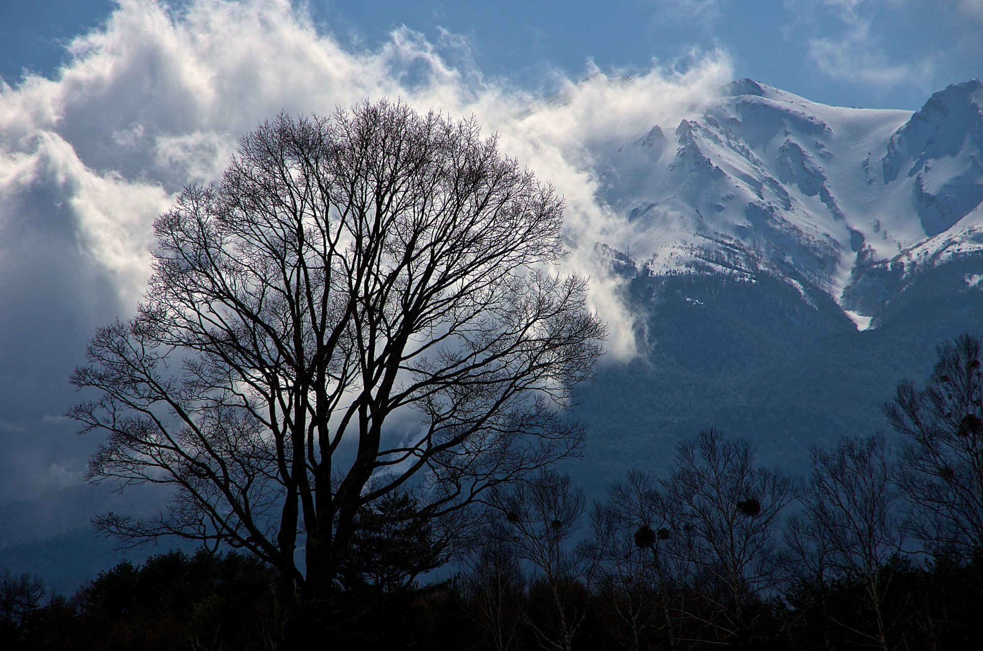 Download Tree Cloud Mountain Snow Nature Winter Snowy Mountain 4k Ultra ...